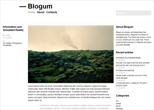 Blogum-screenshot in Free WordPress Themes: 2011 Edition