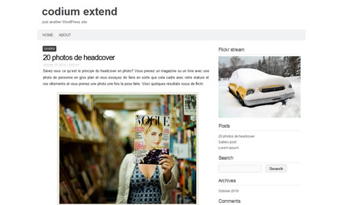 Sm WordPress Theme 69 in Free WordPress Themes: 2011 Edition