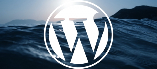 10 WordPress Plugins And Themes For WordPress Lovers