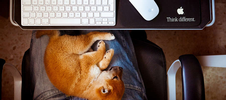 35 Beautiful Apple Devices Photos You Must See