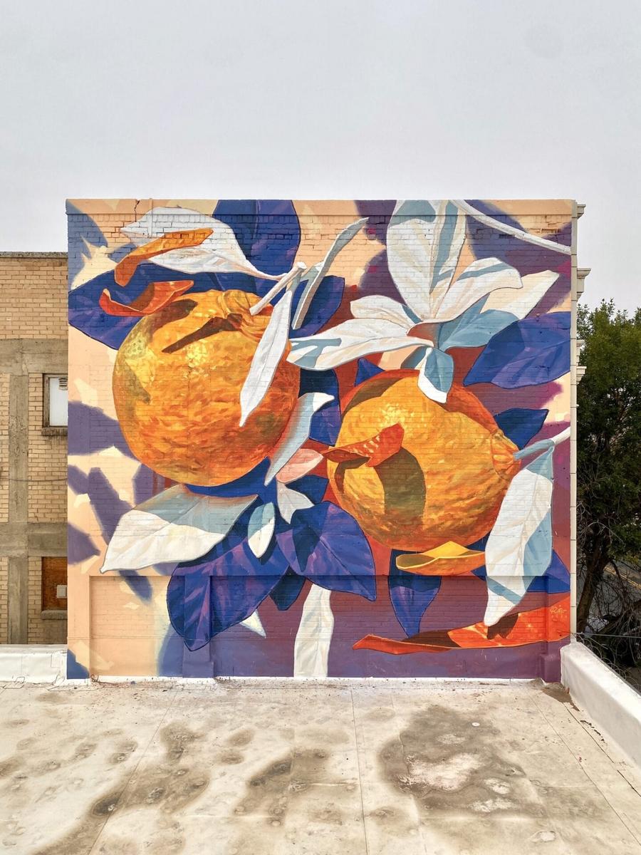 Urban Botanical Mural in Great Falls, USA