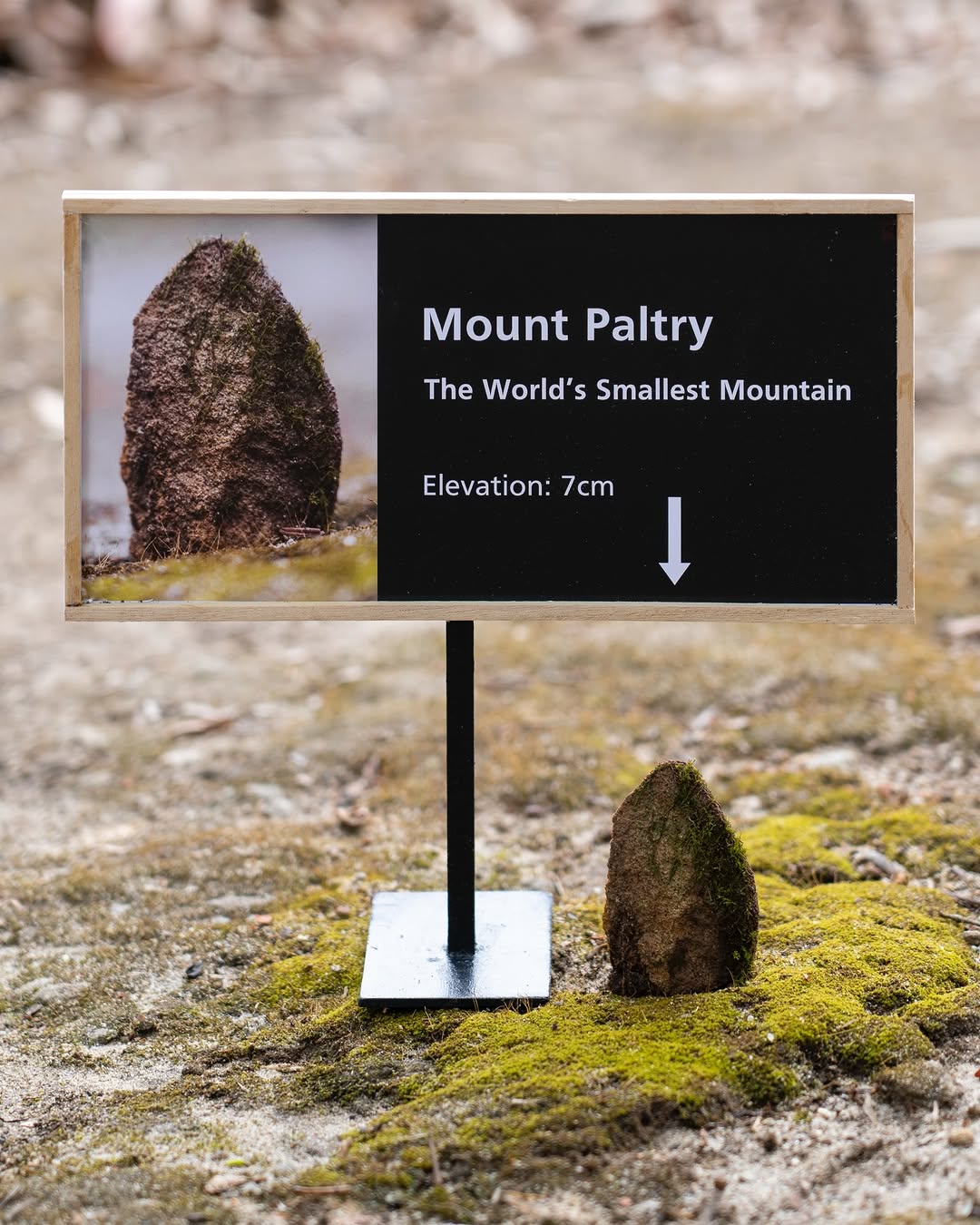 Hidden miniature staircase inside rock as whimsical street art installation and public space intervention