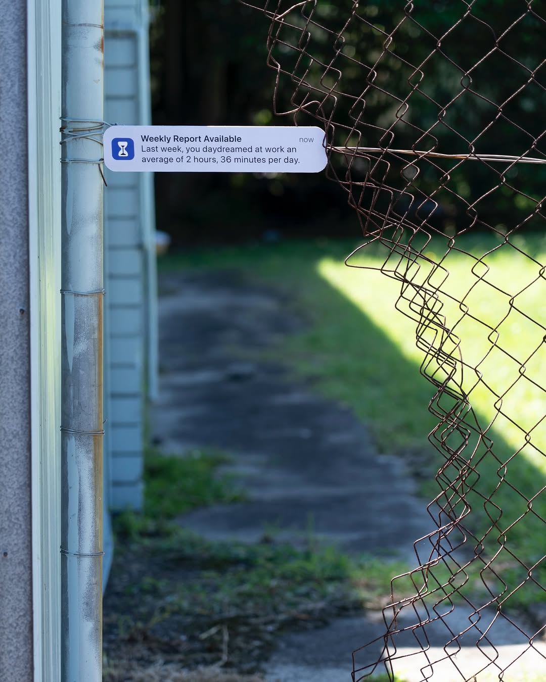 Urban art installations by Pederson featured in email marketing campaign