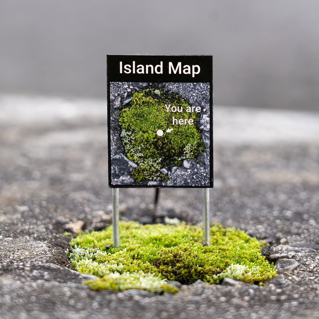 Creative street art interventions transforming stormwater drain into whimsical miniature installation