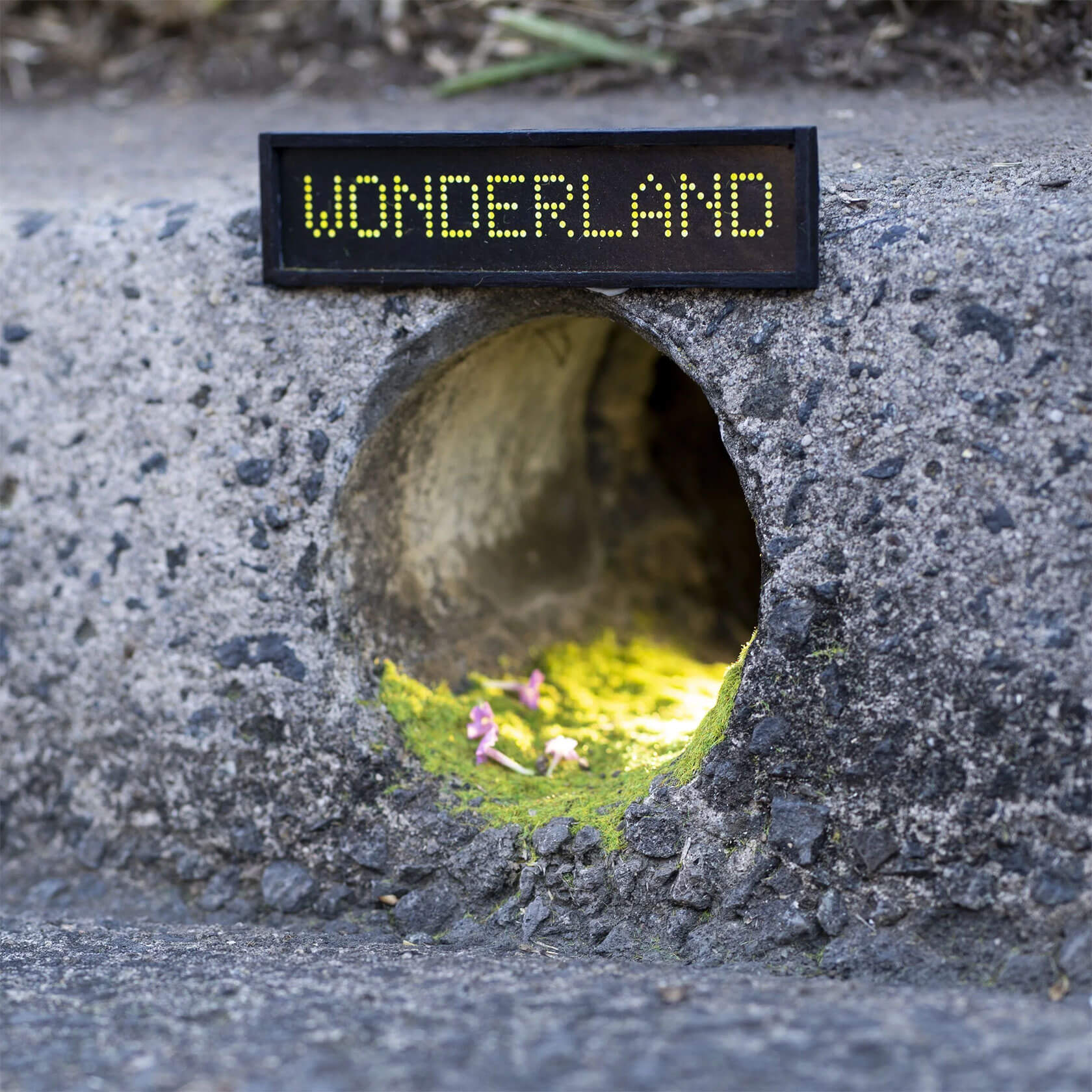 Urban humor art installation in public space by Sydney-based street artist