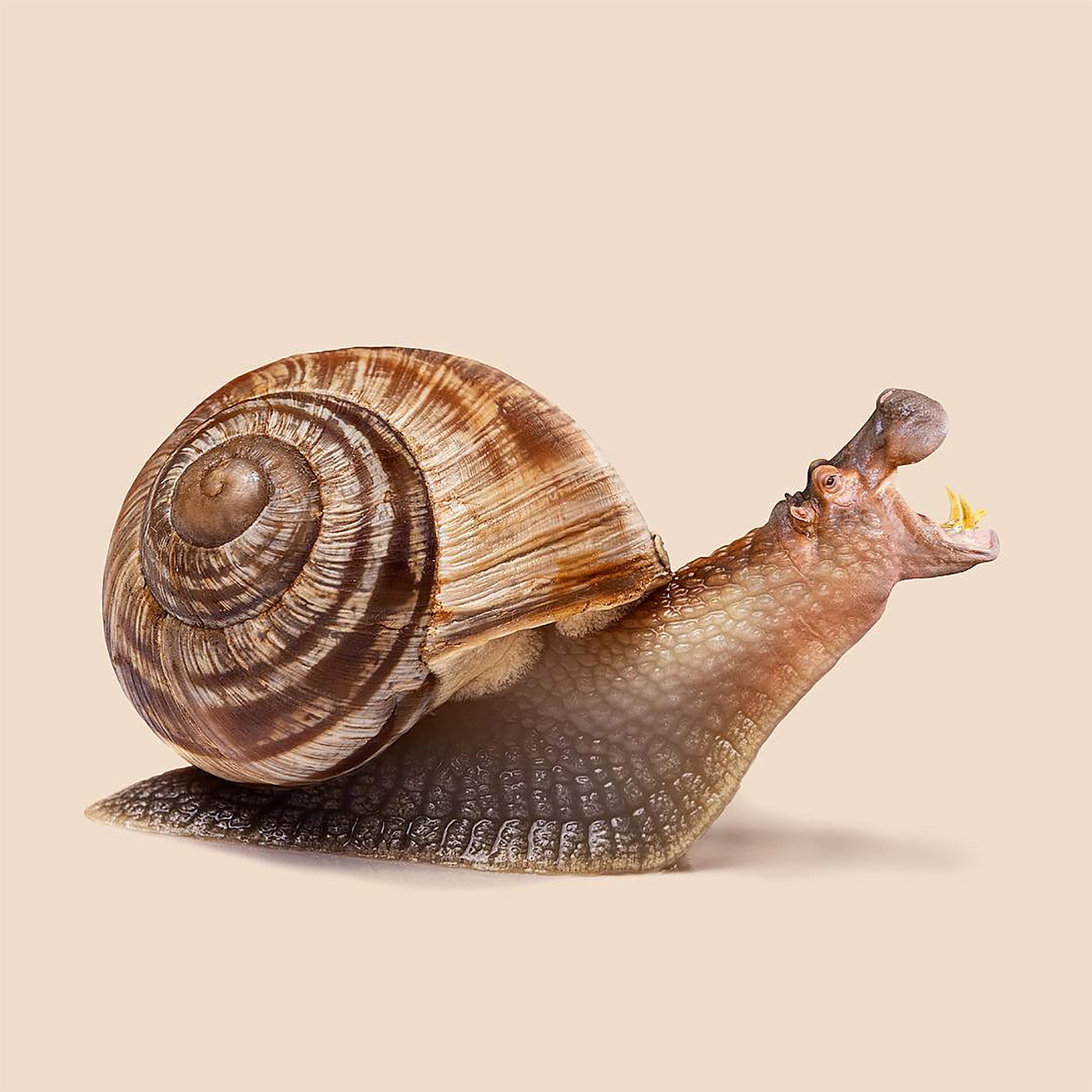 Surreal fantasy photo manipulation featuring bizarre digital composite art