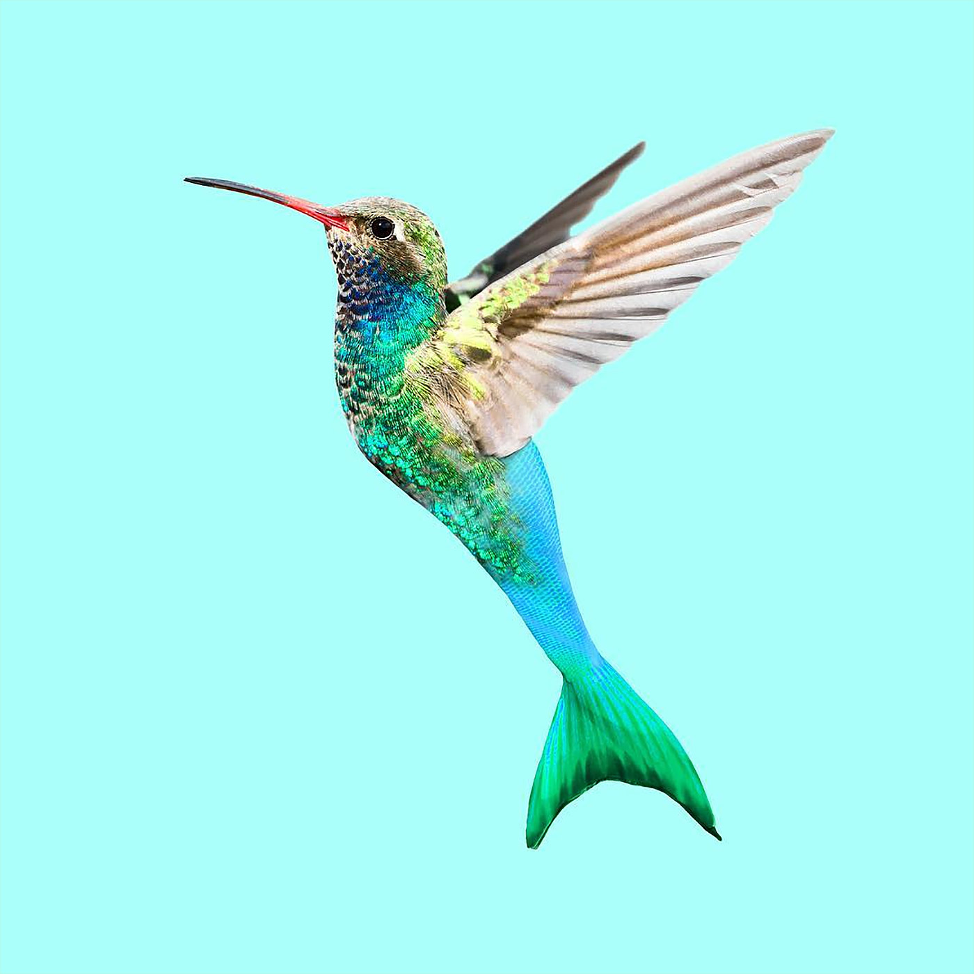 Creative photo manipulation with digital composite surrealist design