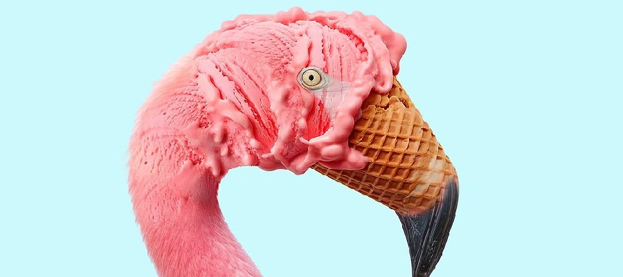 Nothing Stays Separate Here: Les Créatonautes Photo Manipulations and Visual Mashup Art