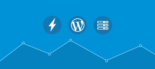 Speeding Up Wordpress – A Quick Guide