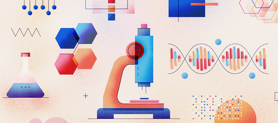 Understanding STEM Education: Why Is It Important?