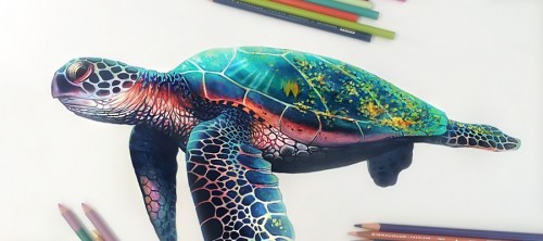 Vibrant Pencil Drawings Bursting With Color by Morgan Davidson